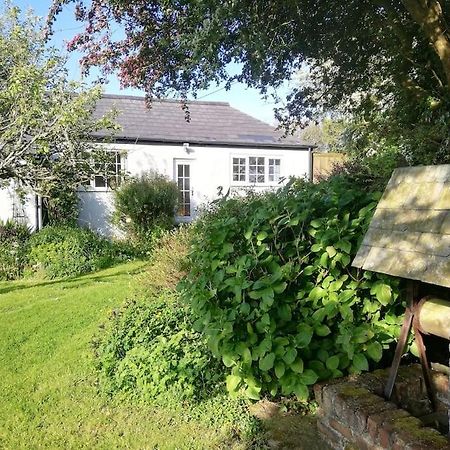 Cozy Country Cottage With Beautiful Rural Views Newquay (Cornwall) Exterior photo