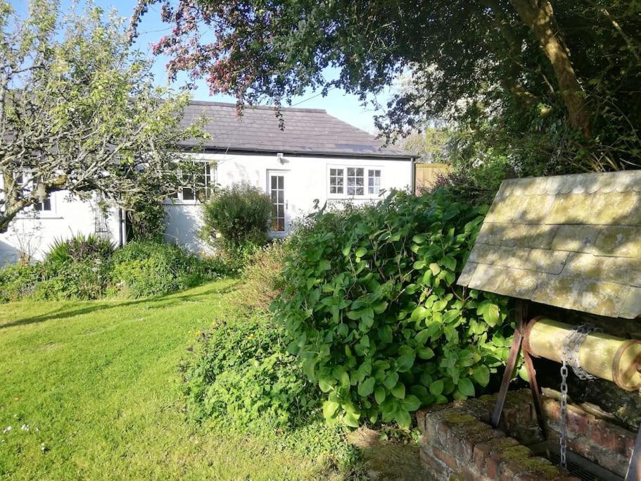 Cozy Country Cottage With Beautiful Rural Views Newquay (Cornwall) Exterior photo